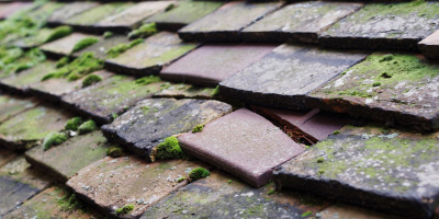 Slimbridge roof repair costs